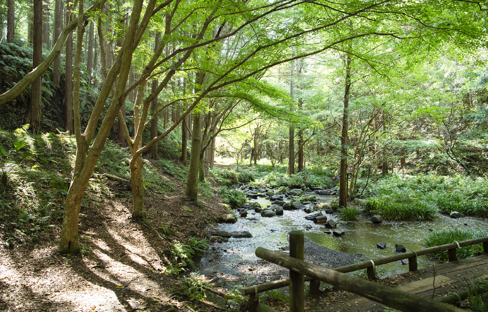 泊まれる公園 INN THE PARK